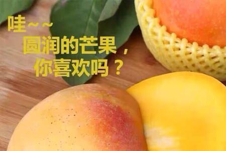澳洲芒果怎么才算熟