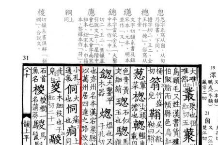通走什么意思