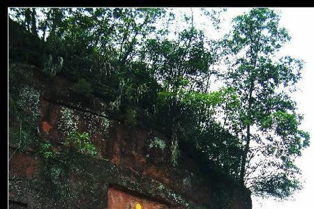 青神德云寺门票