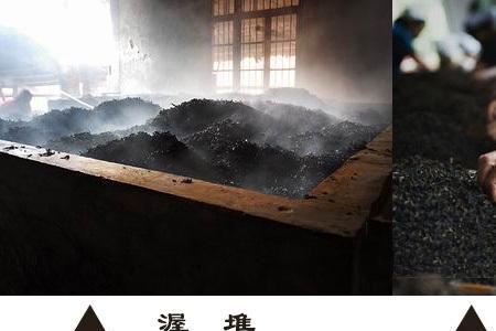 怎么快速筛选茶叶成品大小