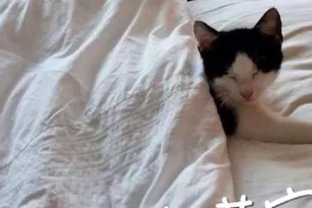 威力古德什么意思