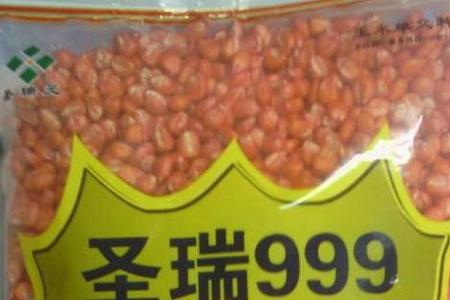 1317玉米种子介绍