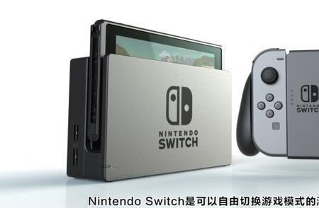 switch俄罗斯版有中文吗