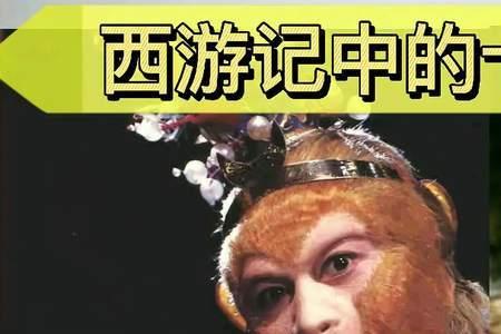 西游记猴的分类等级