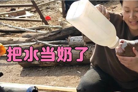 出生十来天的小牛可以喝水吗