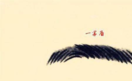 拱形眉是什么性格