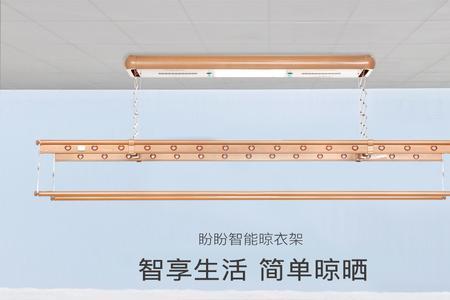 盼盼升降晾衣架遥控器说明