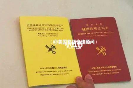 海员健康证红本黄本是啥