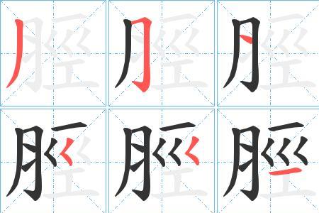 不胫而走哪个字错