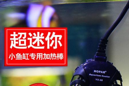 鱼缸造景如何隐藏加热棒