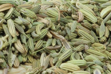 小茴香辣吗