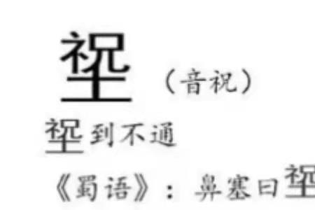 四川话的家当是什么意思