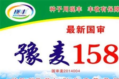 哪里有众信998小麦品种