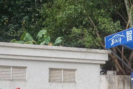 广州自助洗车的地方