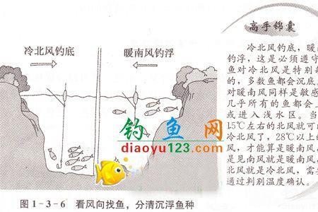 排子河水库钓位选择