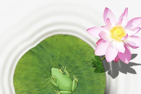青蛙和莲叶寓意