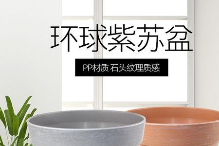 150号花盆是多大