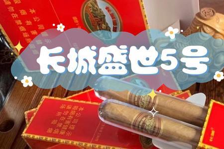 长城盛世三号和盛世5号哪个好