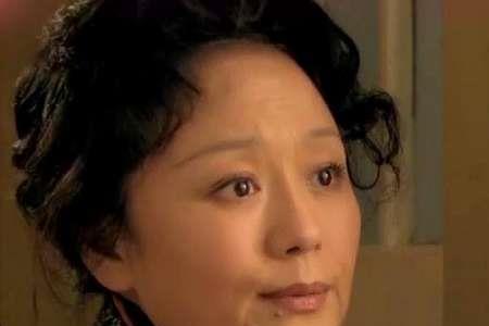 婆婆来了几对夫妻的结局