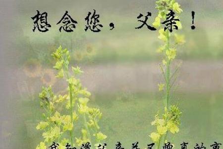 想念天堂的父母伤感歌曲