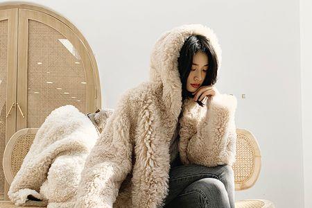 冰岛皮毛一体都掉毛吗