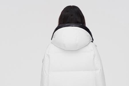 爱丹蒙羽绒服属于波司登吗