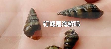 钉螺是淡水还是海水