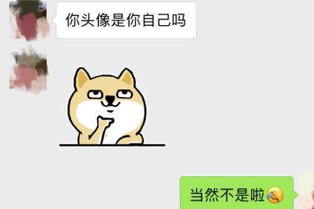 微信好友都不显示头像怎么办