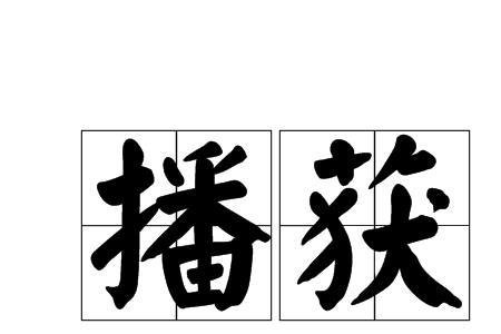 播什么种什么的成语