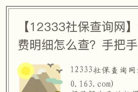 云南社保12333怎么续费