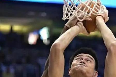 最强nba姚明篮板最高多少