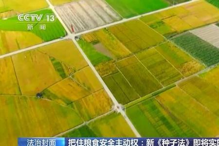 建立种子库属于什么保护