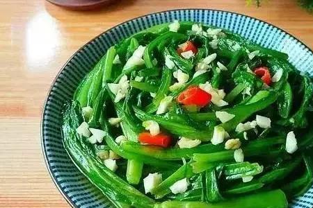 油麦菜属什么味的菜系