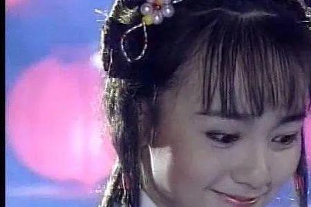 包青天之玉蝴蝶结局