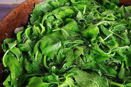 黄磊蔬菜水晶包的青菜是什么菜
