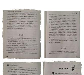 伊索寓言树和斧子读后感