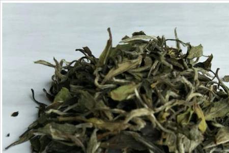 磻溪白牡丹特征