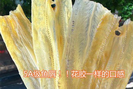 干鱼唇一斤能发几斤