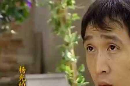 杨光去杨百万家哪一集