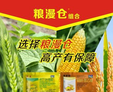 玉米苗期能用甲硫氟环唑吗