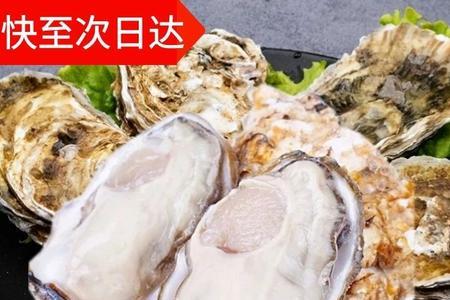 大连生蚝和乳山生蚝的区别