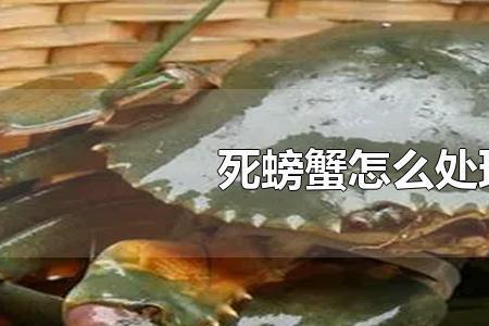 螃蟹好养还是乌龟好养
