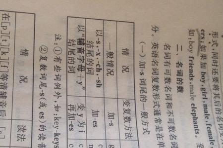 some bread是单数还是复数
