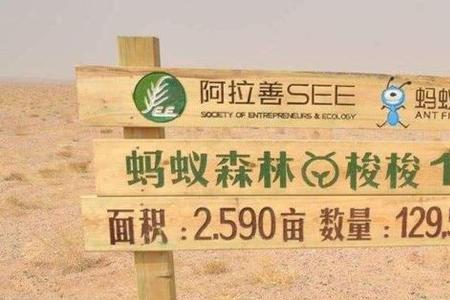 蚂蚁森林的树可爱名字