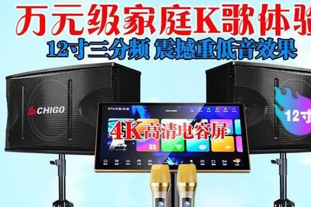 志高点歌机现在是杂牌吗