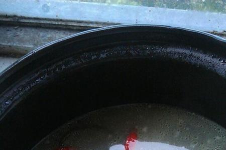 花生海带筒子骨汤的做法