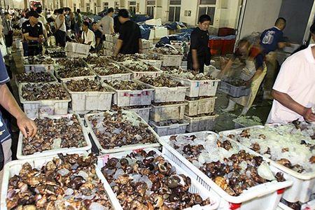 大连大菜市什么时候营业