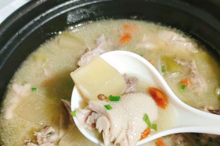 鸭肉汤的做法大全儿童