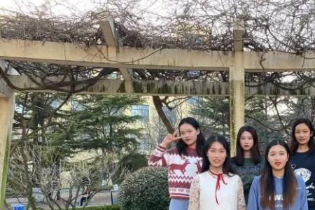 青岛大学上铺好还是下铺好