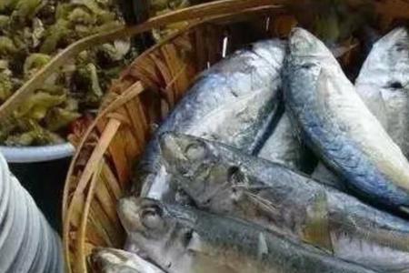 池鱼的种类